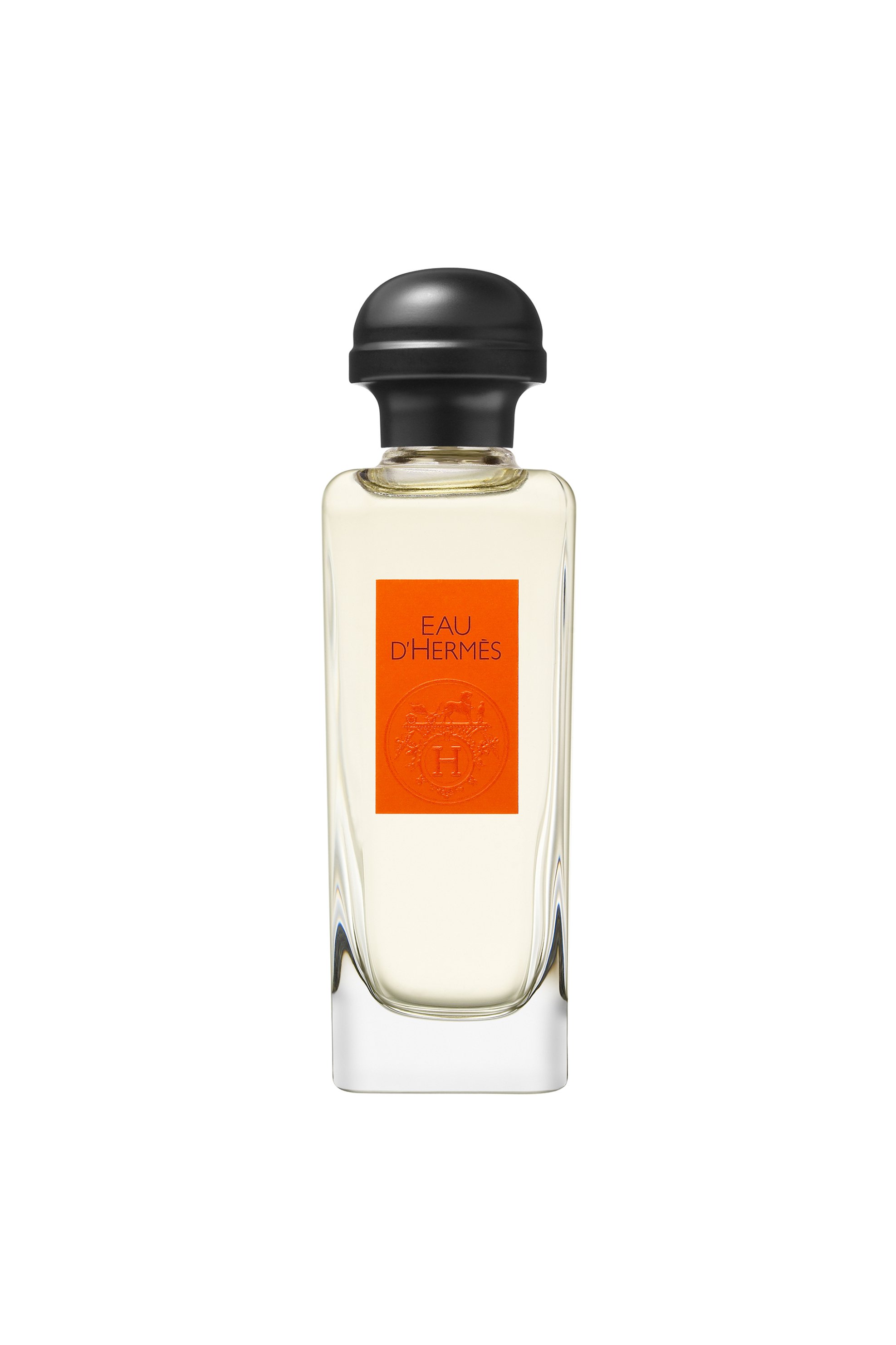 HERMÈS Hermès Eau d'Hermès Eau de Toilette 100 ml - 38290