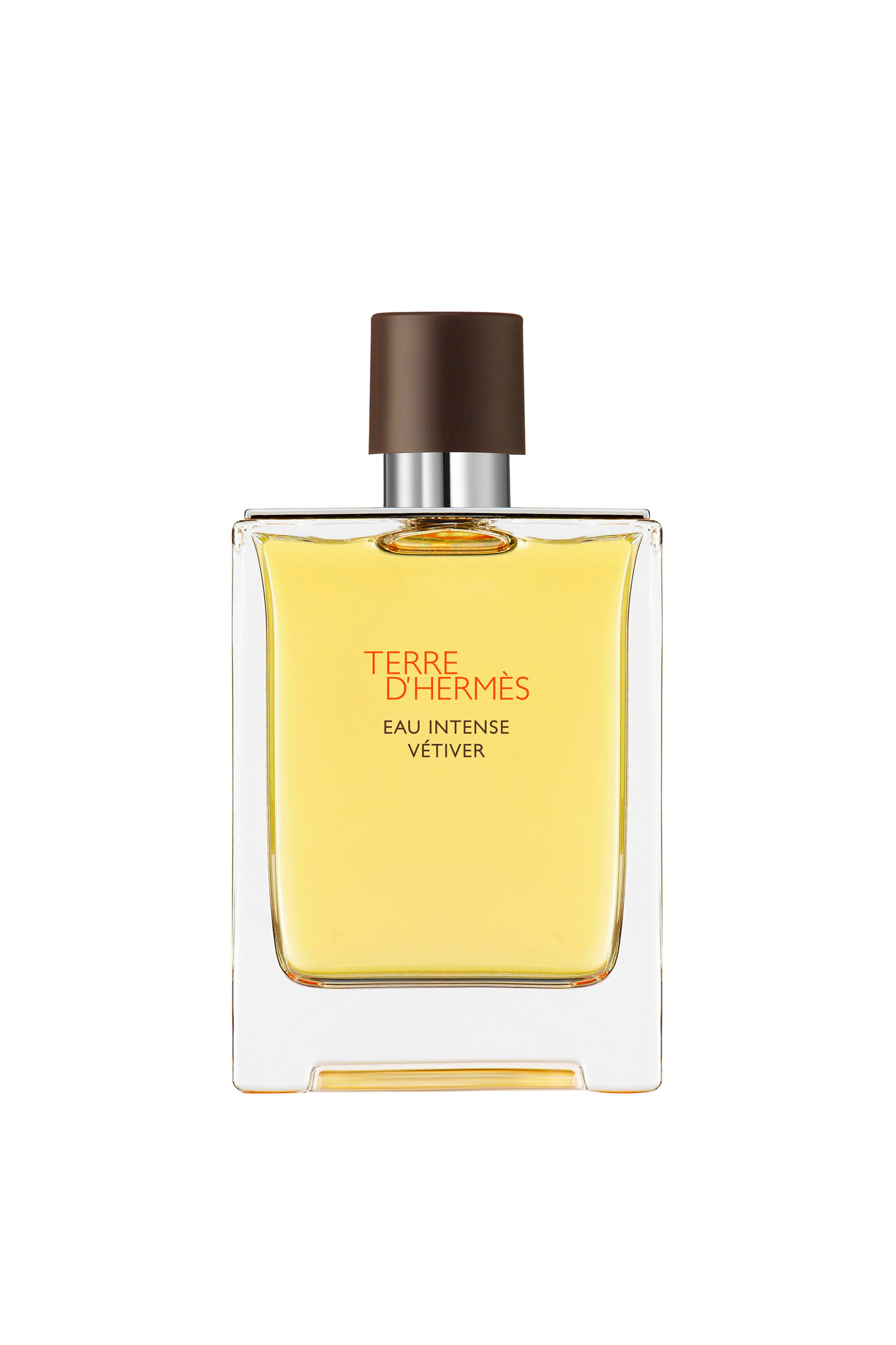 HERMÈS Hermès Terre d'Hermès Eau Intense Vétiver Eau de Parfum - 40946