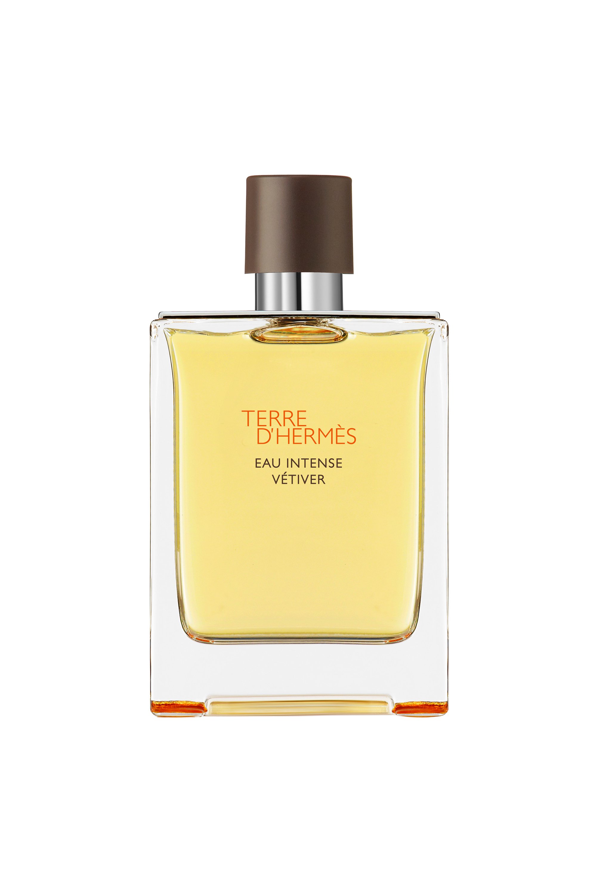 HERMÈS Hermès Terre d'Hermès Eau Intense Vétiver Eau de Parfum - 100057V0