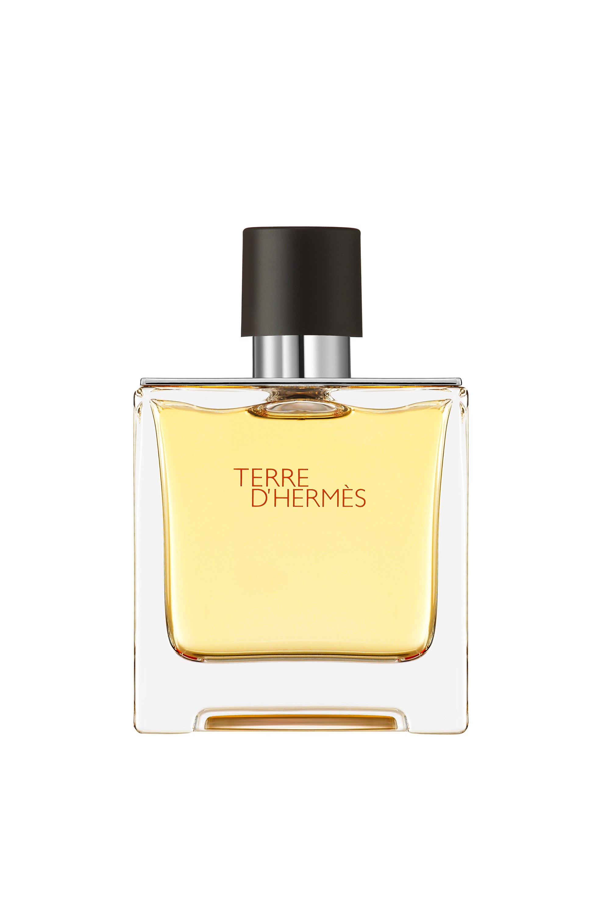 HERMÈS Hermès Terre d'Hermès Parfum - 107757V0