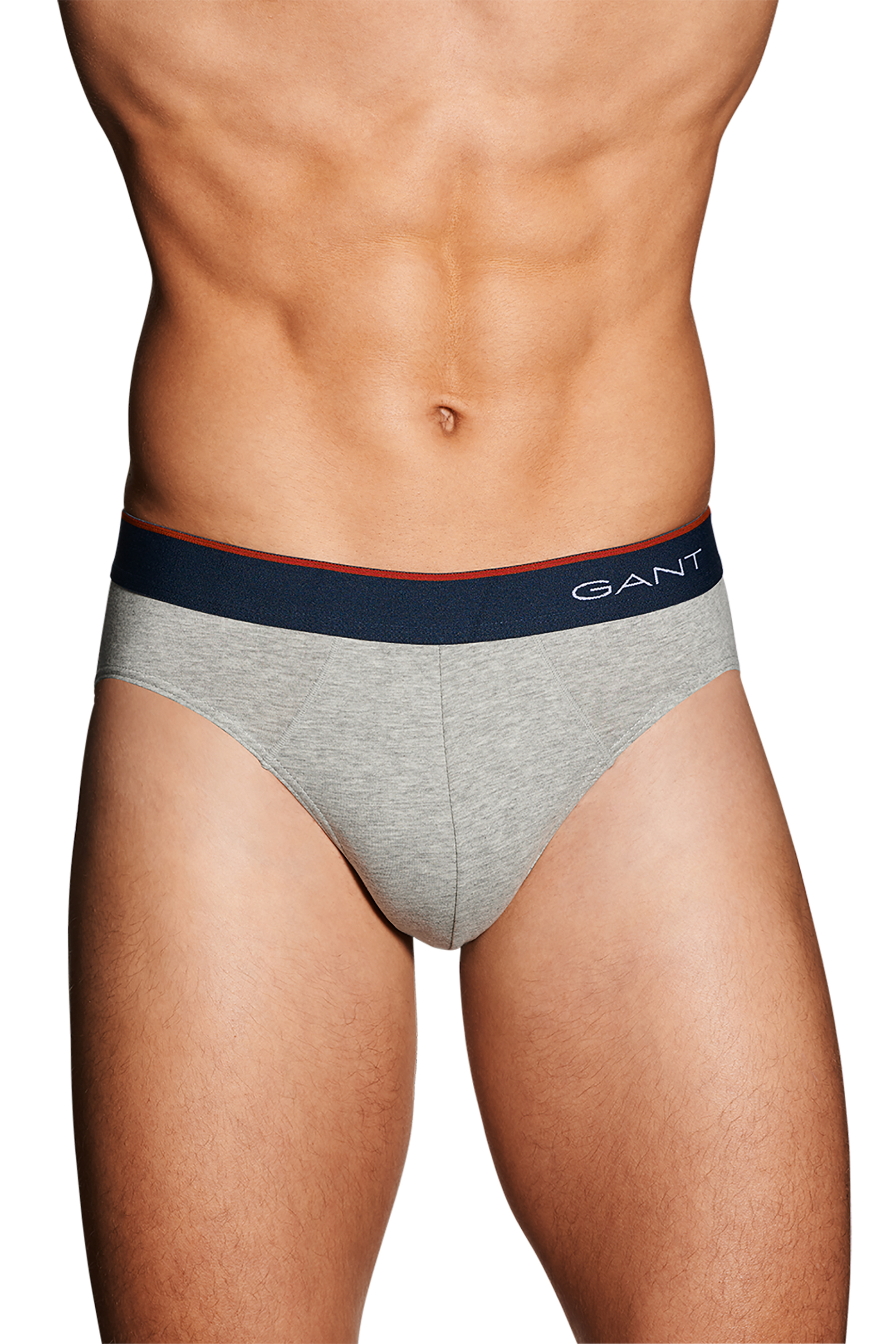 GANT Gant ανδρικό σλιπ ''Hip Briefs'' - 1001 Γκρι